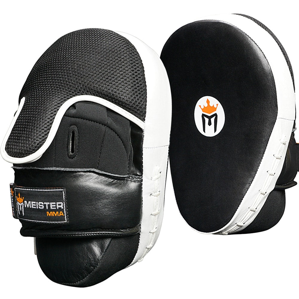 Meister 2025 boxing gloves